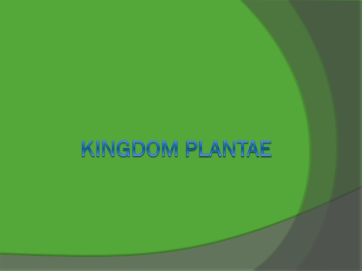 kingdom kingdom plantae