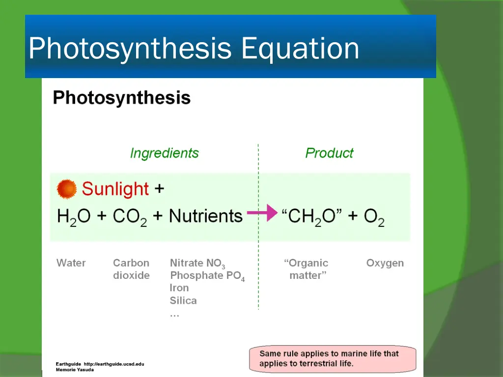 photosynthesis equation