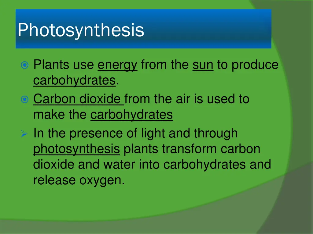 photosynthesis