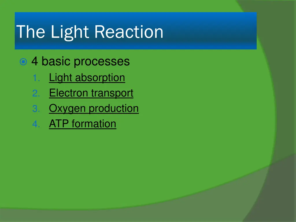 the light reaction