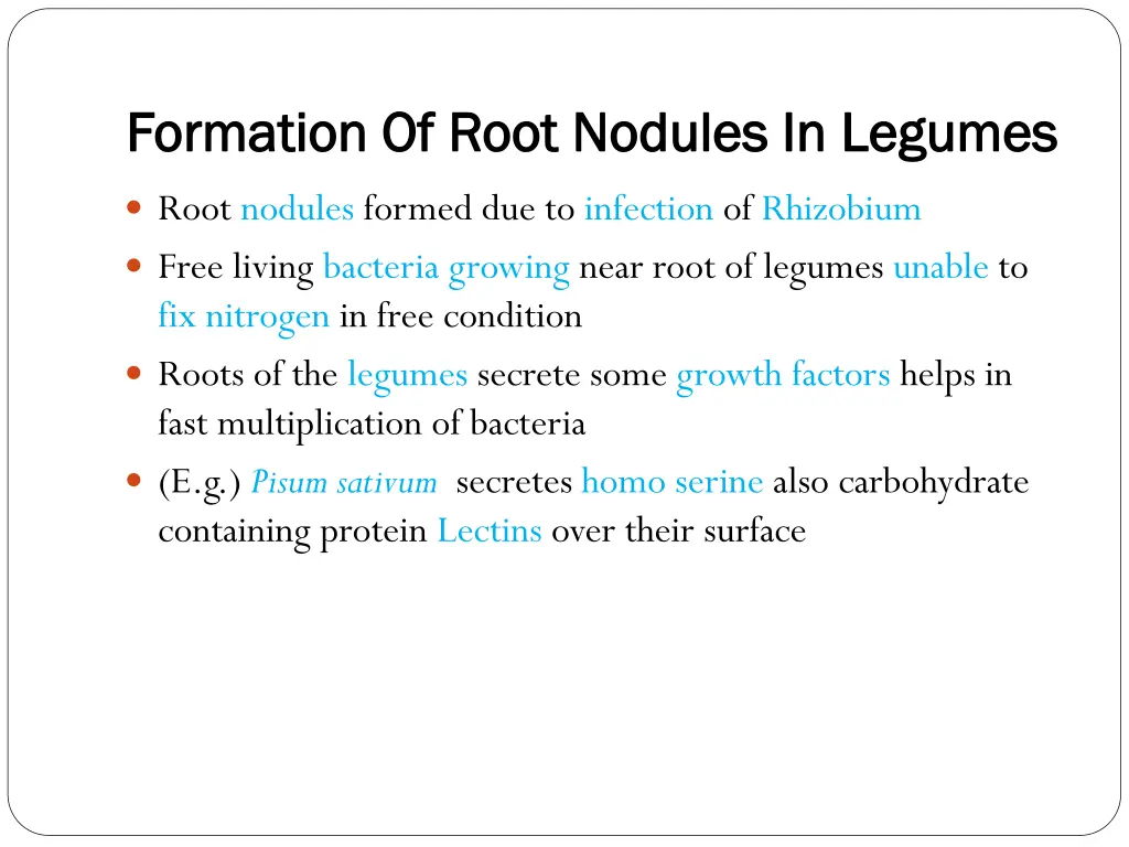 formation of root nodules in legumes formation