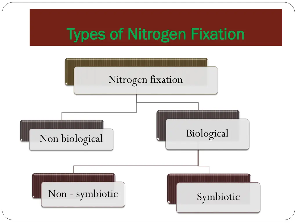 types of nitrogen fixation types of nitrogen