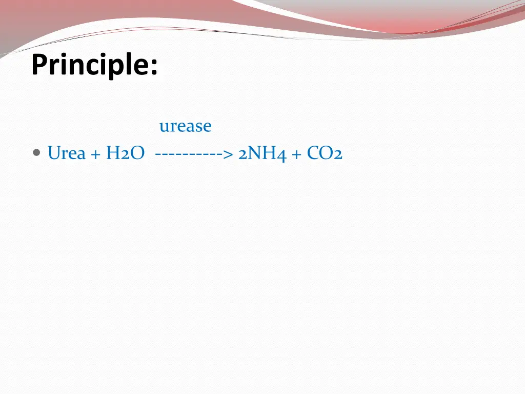 principle
