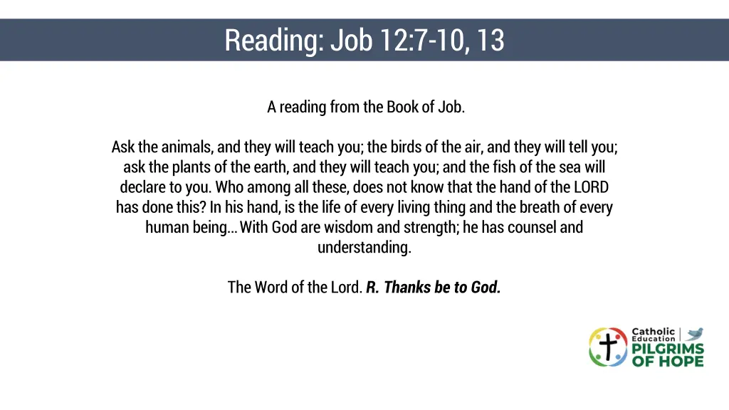 reading job 12 7 10 13