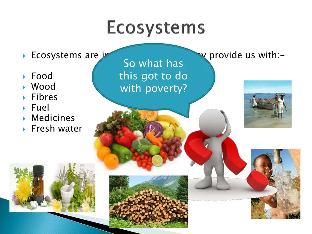ecosystems are important because they provide