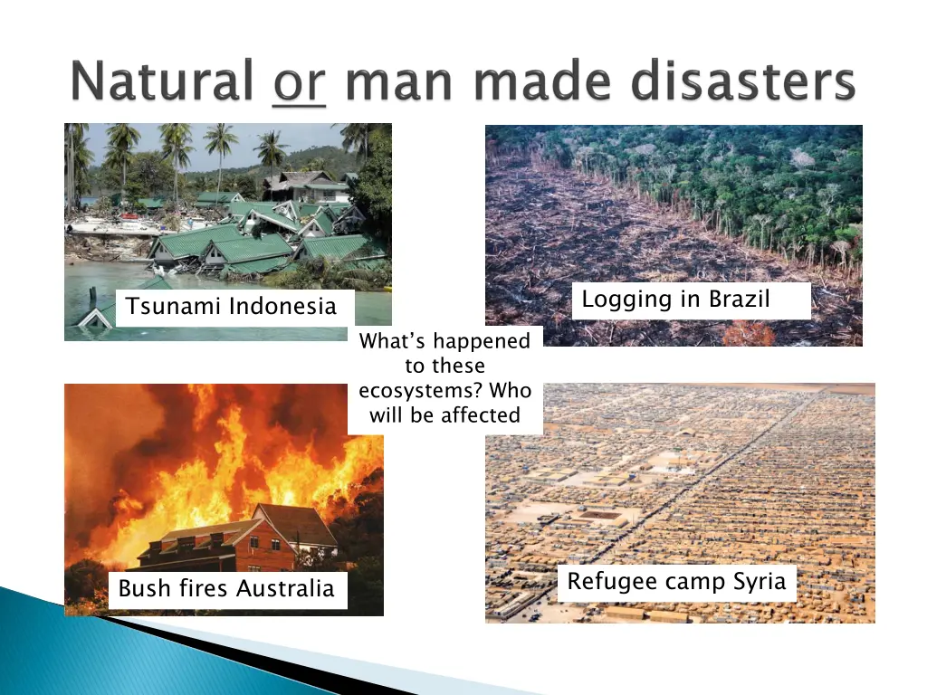 logging in brazil