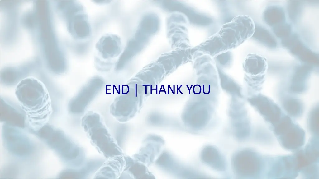 end end thank you thank you