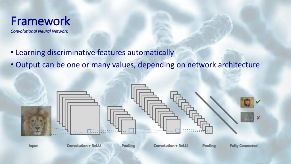 framework framework convolutional neural network 1