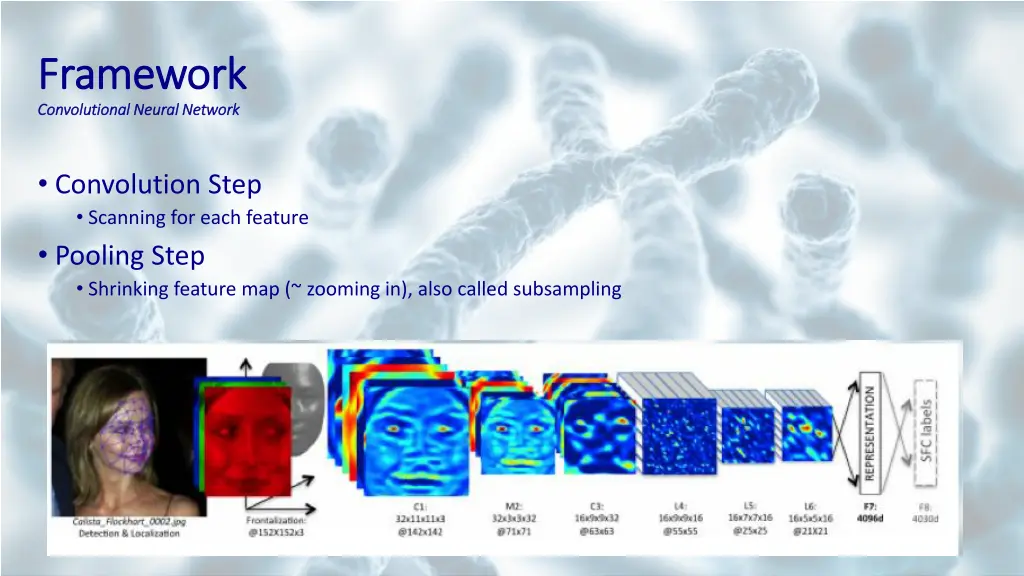 framework framework convolutional neural network 2