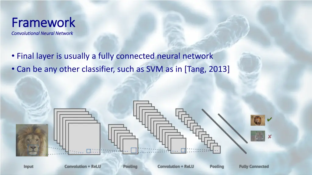 framework framework convolutional neural network 3