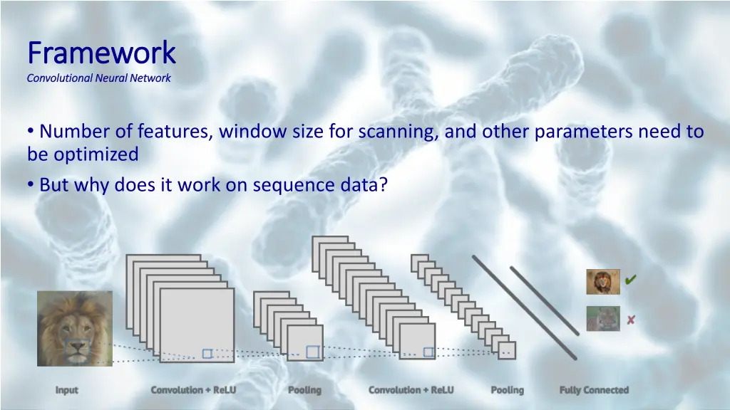 framework framework convolutional neural network 4