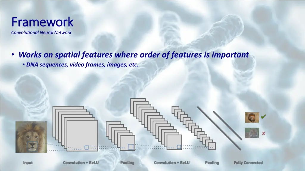 framework framework convolutional neural network 5