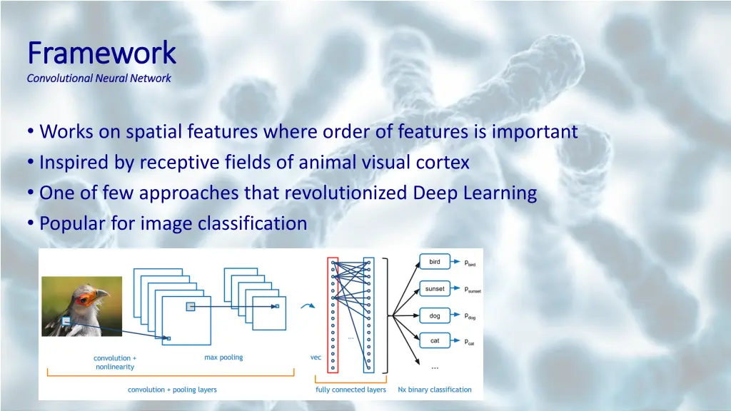 framework framework convolutional neural network