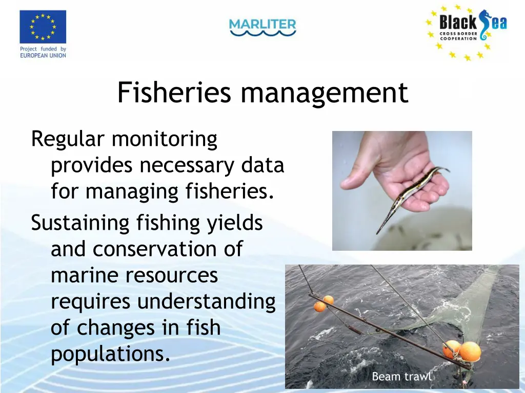 fisheries management