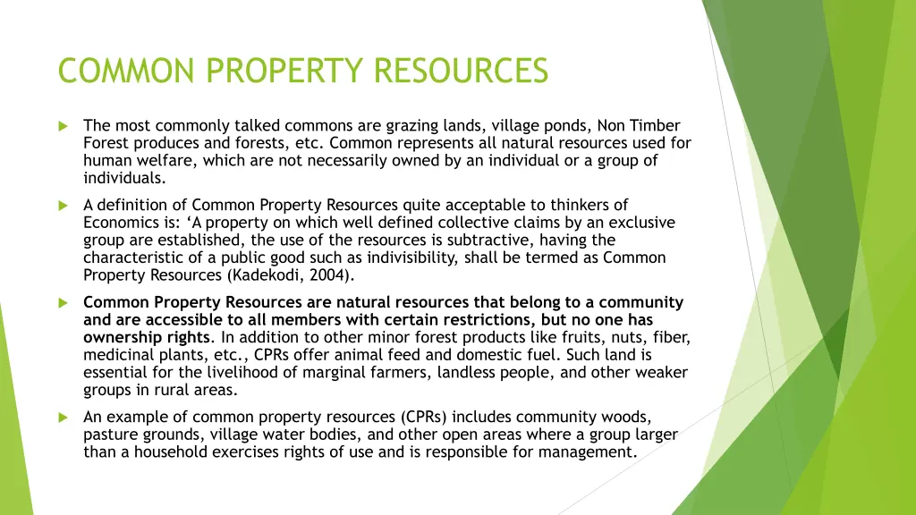 common property resources