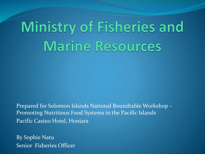 prepared for solomon islands national roundtable