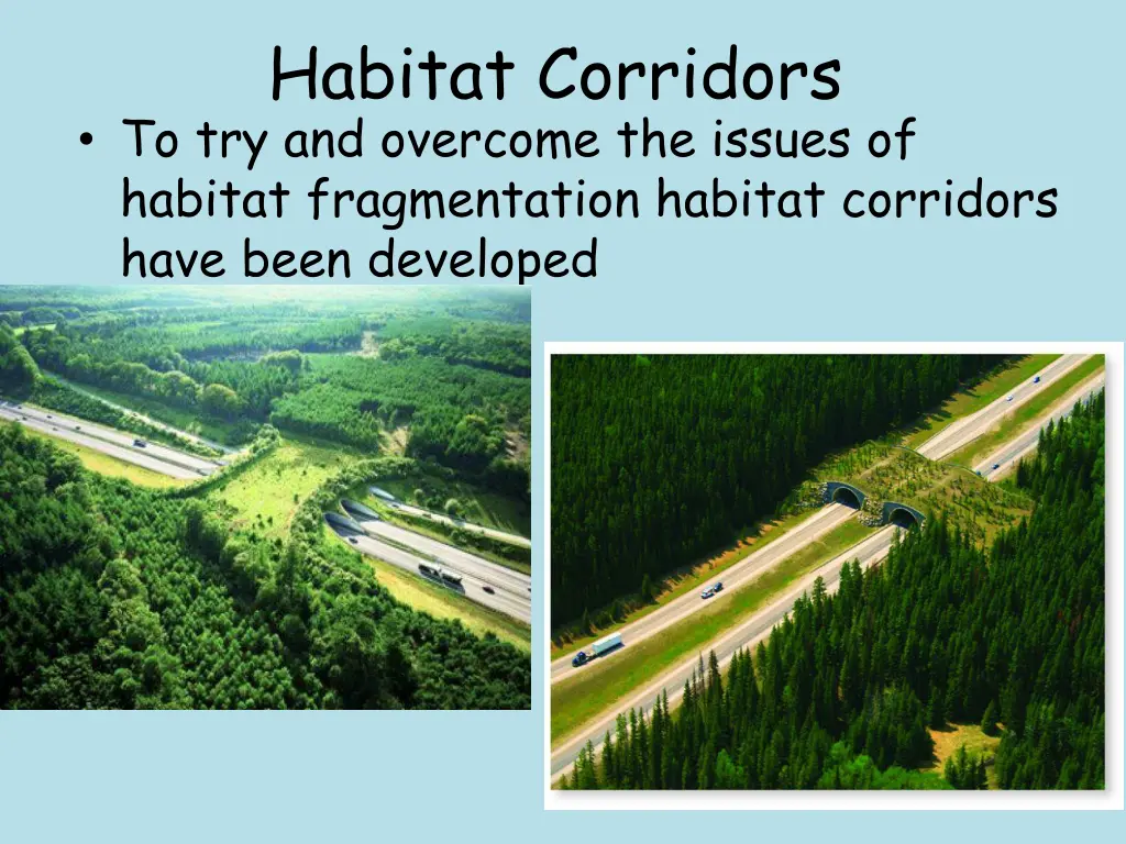 habitat corridors to try and overcome the issues