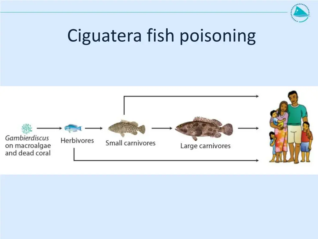 ciguatera fish poisoning