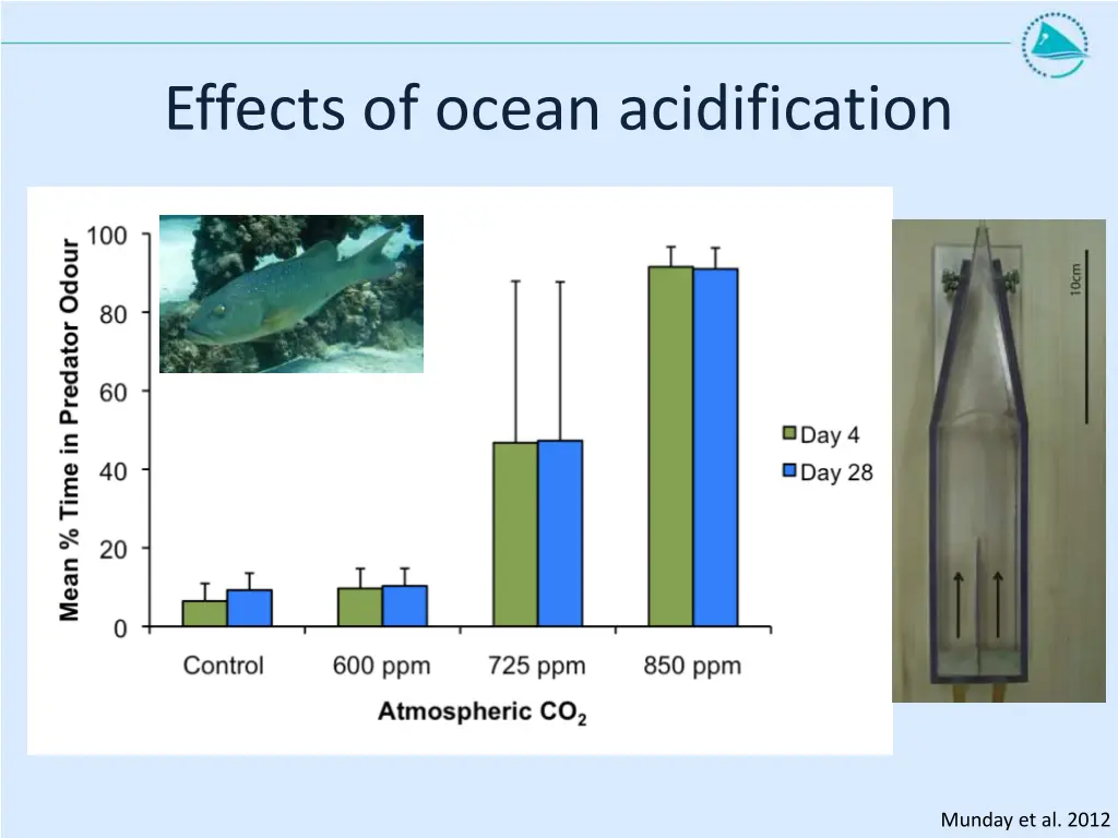 effects of ocean acidification