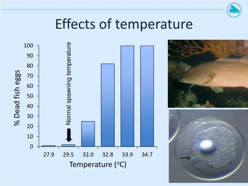 effects of temperature 2