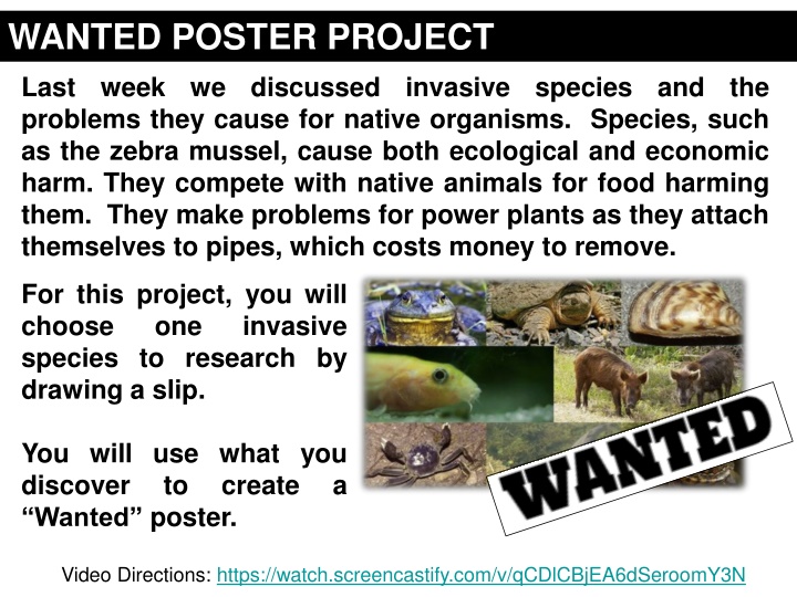 wanted poster project