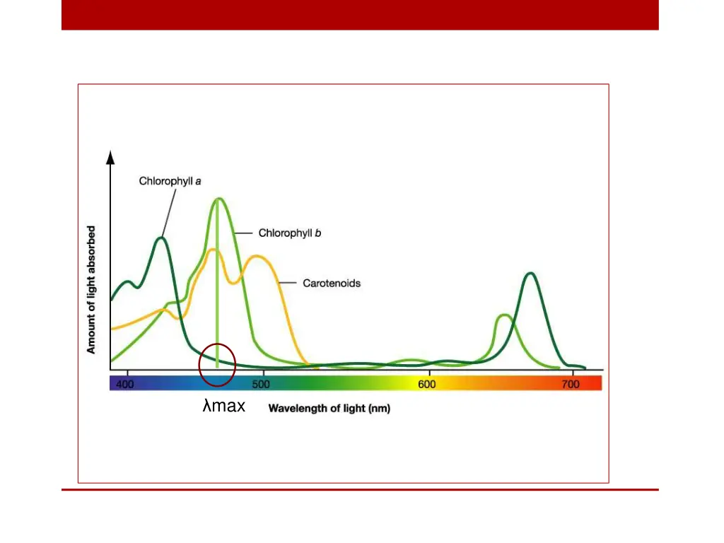 slide5