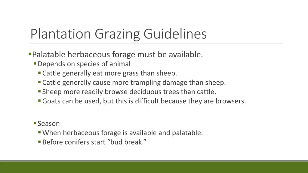 plantation grazing guidelines 1