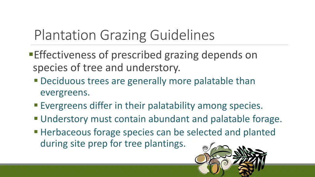 plantation grazing guidelines