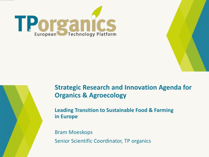 strategic research and innovation agenda