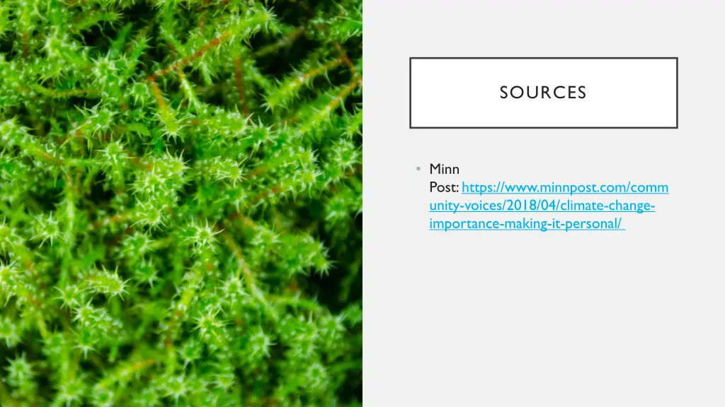 sources