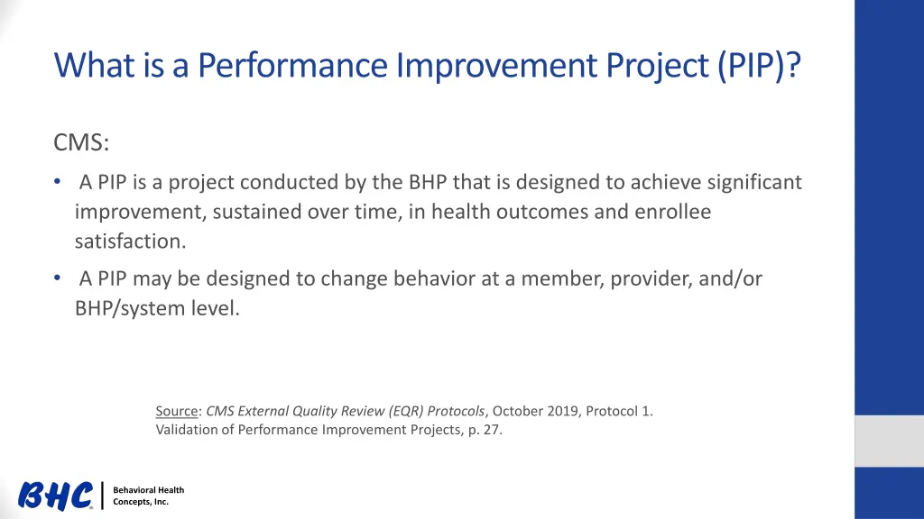 what is a performance improvement project pip