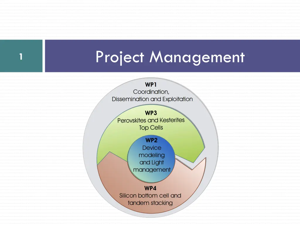 project management