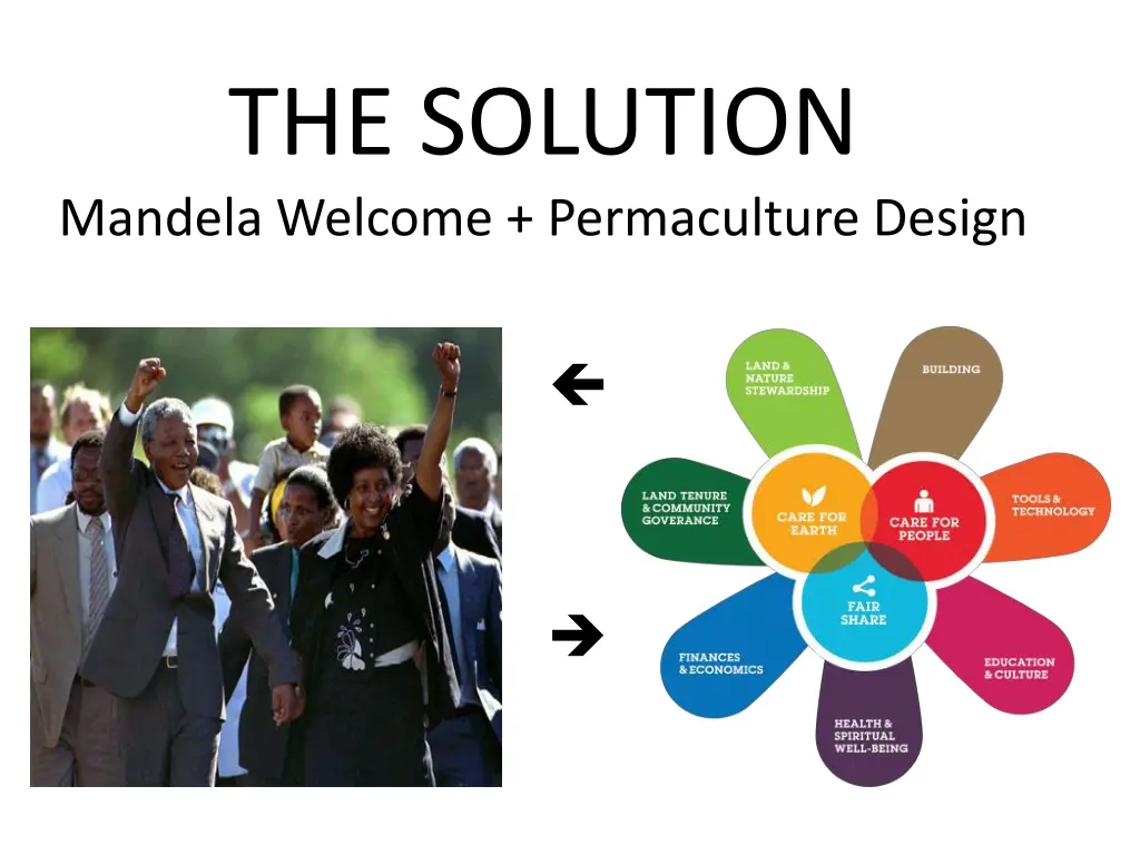 the solution mandela welcome permaculture design
