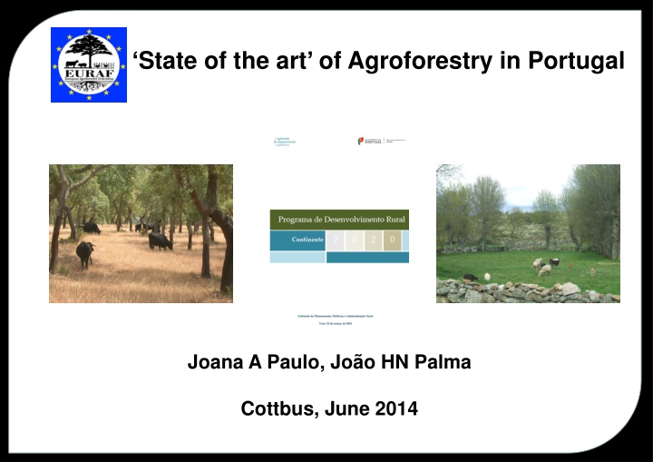 state of the art of agroforestry in portugal