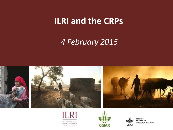 ilri and the crps