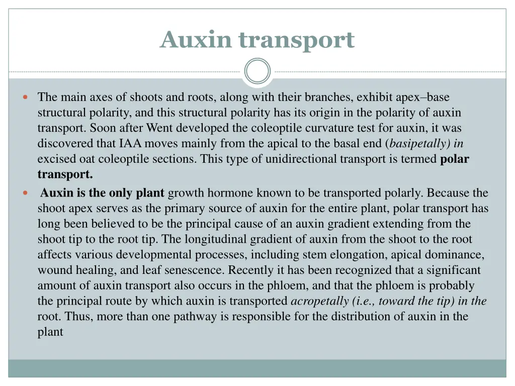 auxin transport