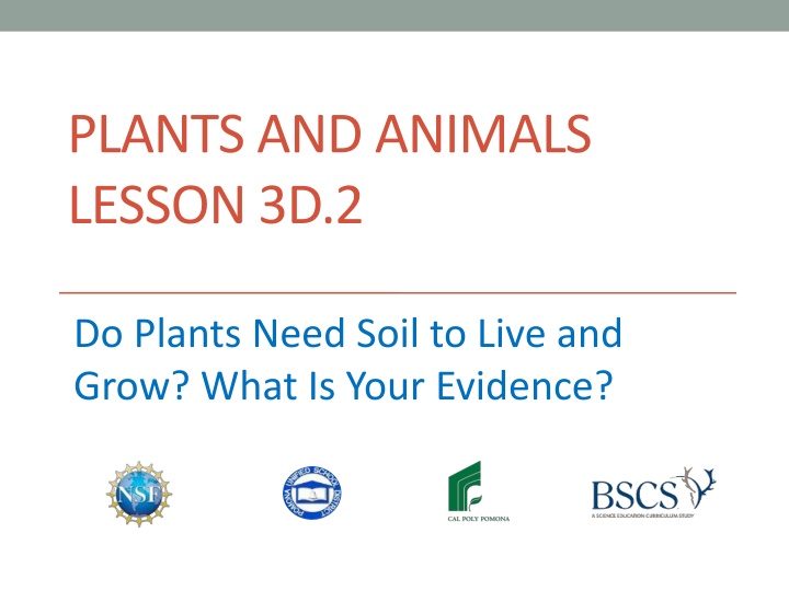 plants and animals lesson 3d 2