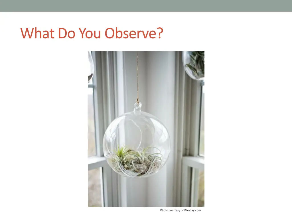 what do you observe 1