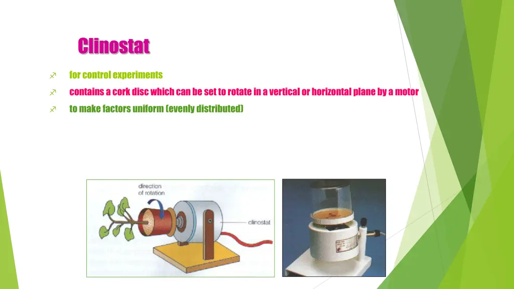 clinostat