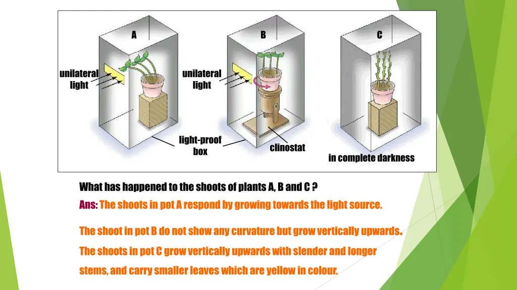 slide15
