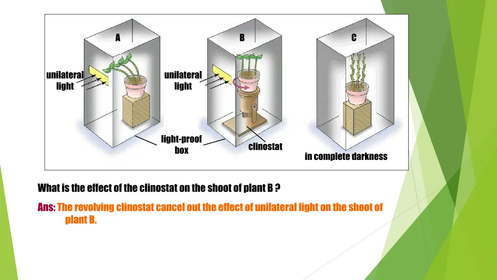 slide16