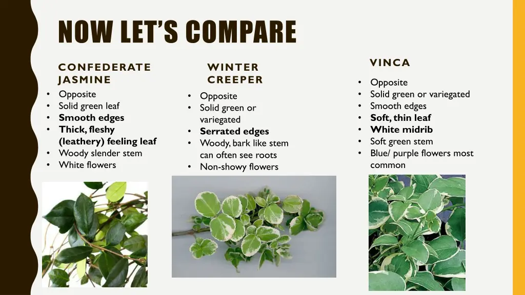 now let s compare 1