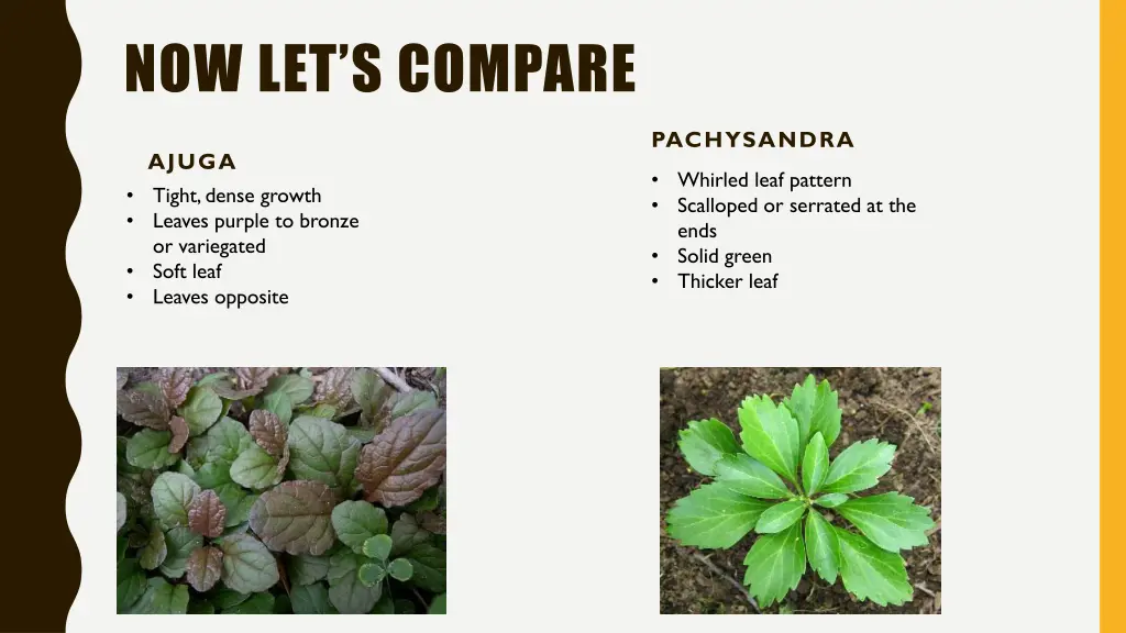 now let s compare 2