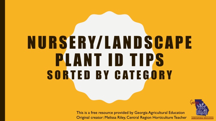 nursery landscape plant id tips sorted by category