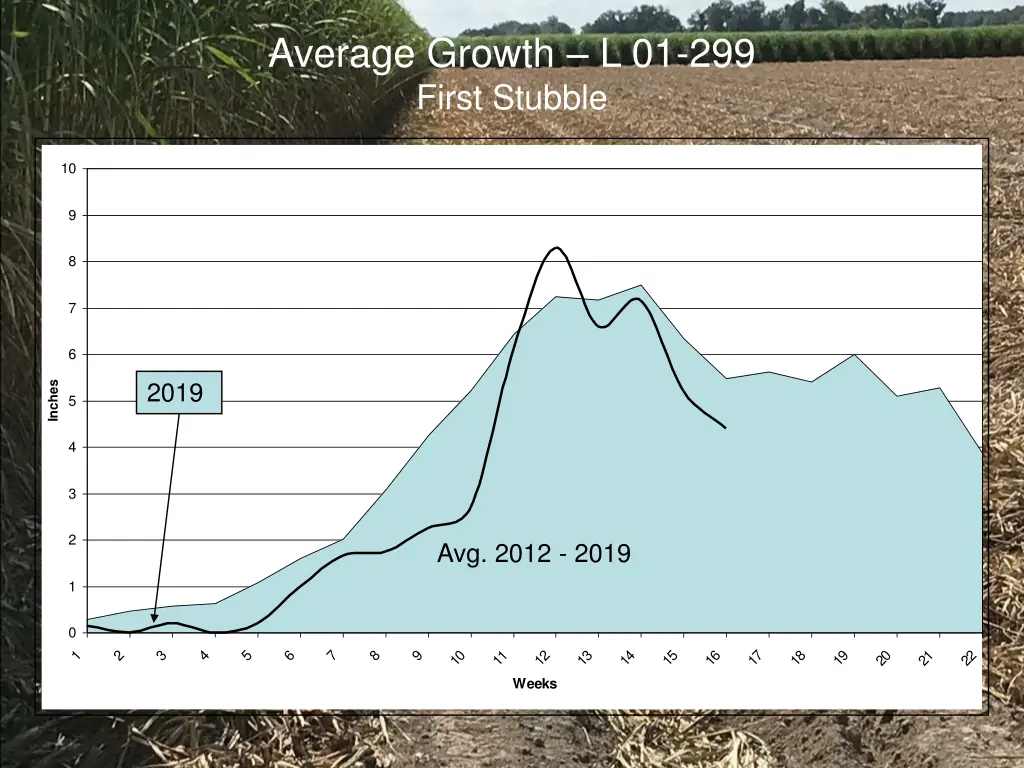 average growth l 01 299 first stubble