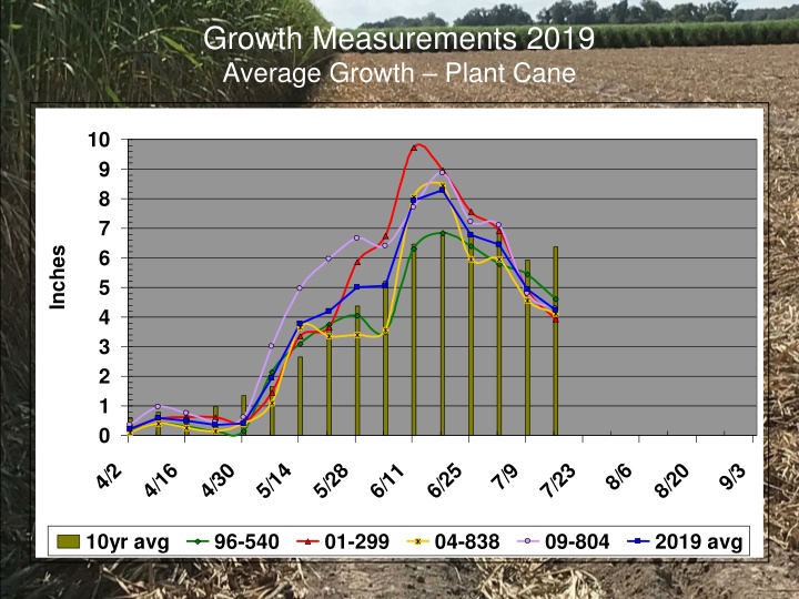 growth measurements 2019 average growth plant cane