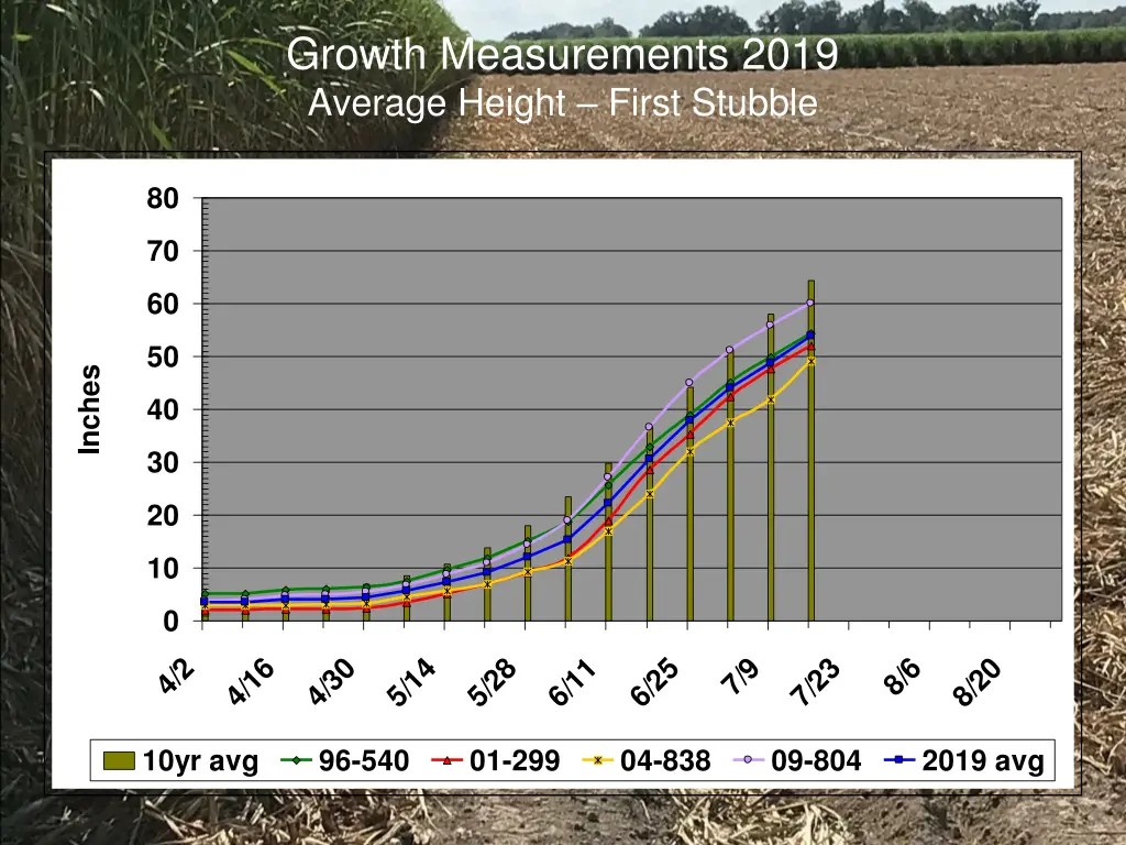 growth measurements 2019 average height first