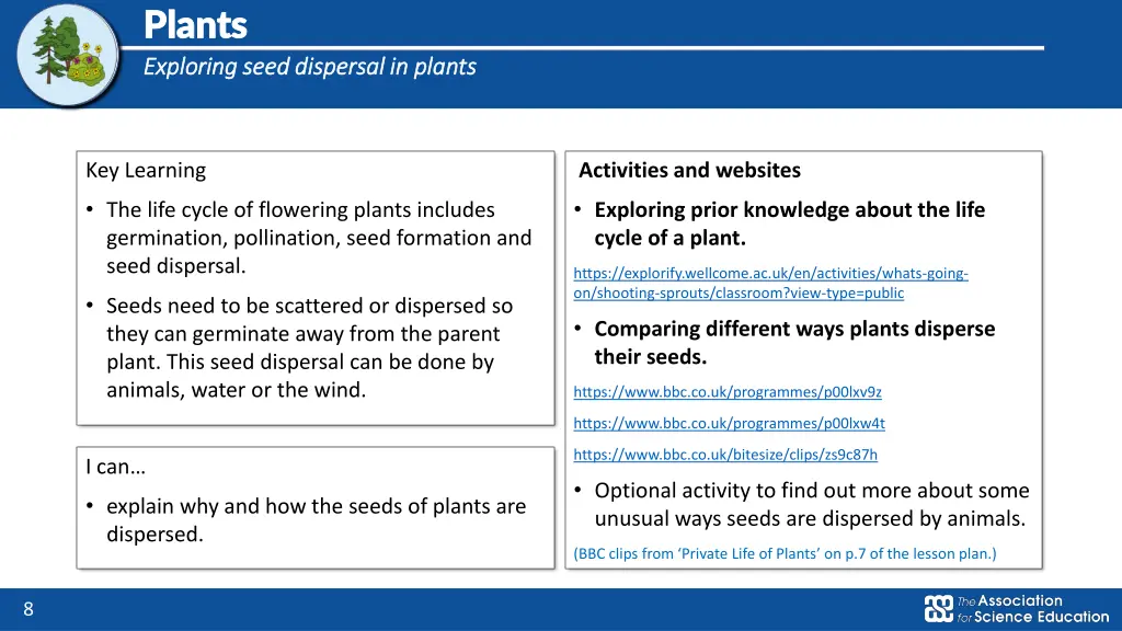 plants plants exploring seed dispersal in plants