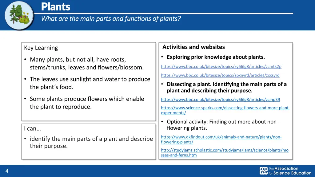 plants plants what are the main parts