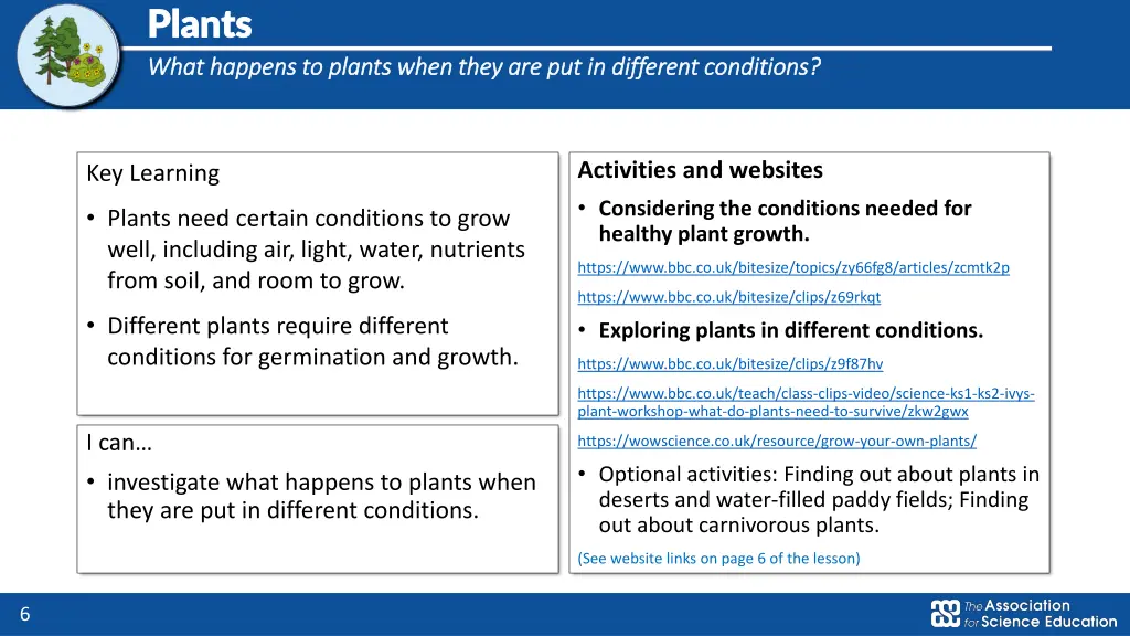 plants plants what happens to plants when they